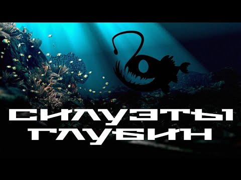 Видео: Силуэты глубин