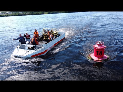 Видео: Выживаем в лесу 24 часа/ На крокодиле через бурную реку