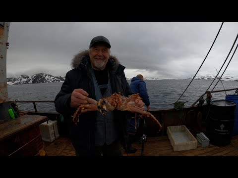 Видео: Морская рыбалка в Баренцевом море
