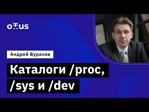 Видео: Каталоги /proc, /sys и /dev // Демо-занятие курса «Administrator Linux. Professional»