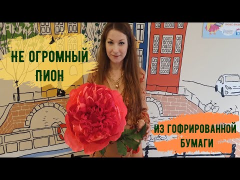 Видео: Как сделать большой пион из гофрированной бумаги