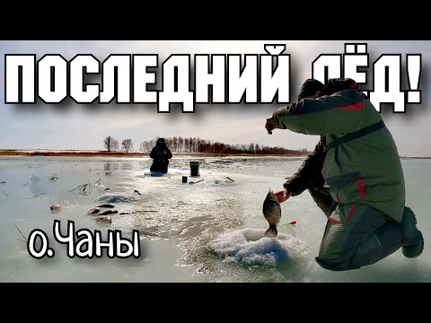 Видео: Долгожданный последний лёд! Озеро Чаны. #рыбалкачаны #dkhunter