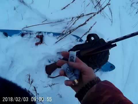 Видео: Отстрел СКМ 100м дробь №0 с ружья VERO и МР-153