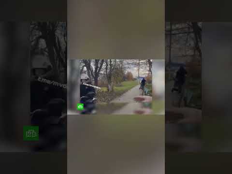 Видео: Селянка из Чувашии помешала полицейским задержать нарушителя.