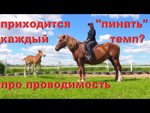 Видео: Это "страшное" и непонятное слово "проводимость".