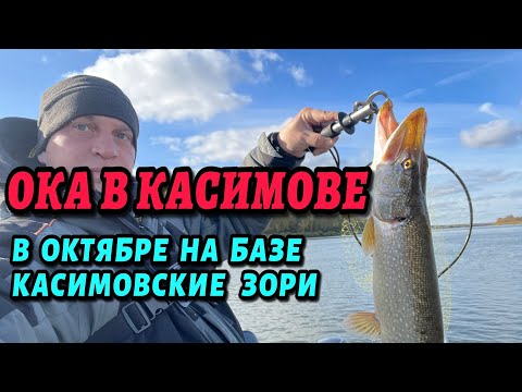 Видео: ОКА в Касимове.. Рязанская обл.! хищник в октябре... обзор базы отдыха "Касимовские Зори"!