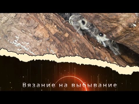 Видео: Внв-6 История одной вещи аксессуар на ноги / отчёт первой недели 