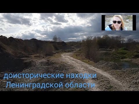 Видео: поиск окаменелостей 🌏 Вильповицы 2022