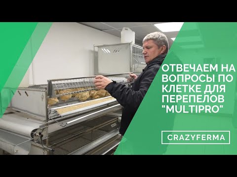 Видео: Вы спрашивали? Мы отвечаем на вопросы по клетке для перепелов "MultiPro"!