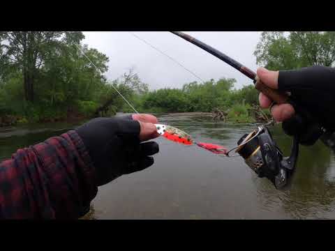 Видео: Блесна с октопусом в деле .