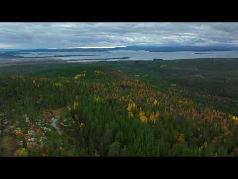 Видео: Осень на Малой Белой