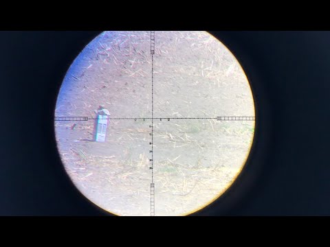 Видео: Стрельба из карабина 22lr по различным целям