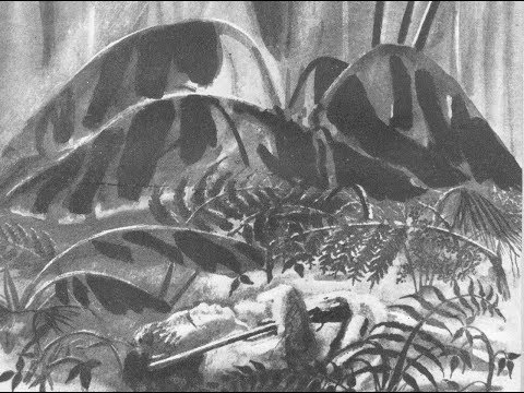 Видео: Джек Лондон – Кулау-прокаженный (ЛИ)