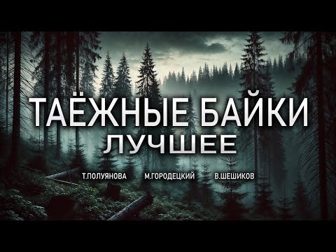 Видео: ЛУЧШИЕ ТАЁЖНЫЕ БАЙКИ | Таёжные Истории