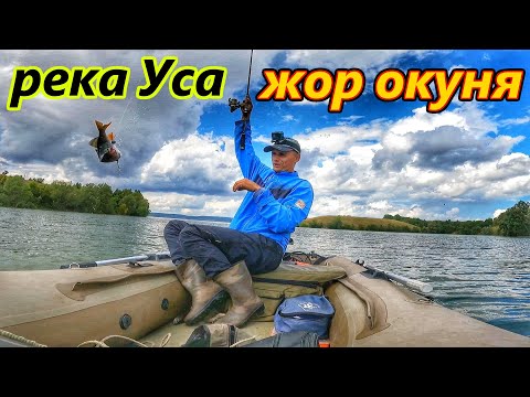 Видео: ПОПАЛ НА ЖОР ОКУНЯ/РЕКА УСА-УСИНСКИЙ ЗАЛИВ/ОКУНЬ НА СПИННИНГ/РЫБАЛКА НА ДЖИГ/ЛЕТО 2024/САМАРСКАЯ ОБЛ