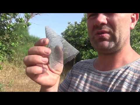 Видео: как забрать рой днём не оставляя пчелы