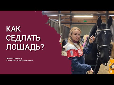 Видео: Как седлать лошадь?