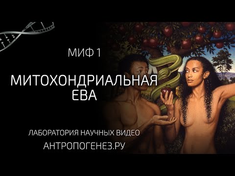 Видео: Миф о митохондриальной Еве. Мифы об эволюции человека.