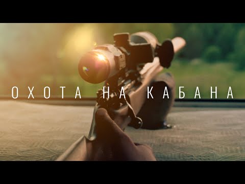 Видео: ОСОБЕННОСТИ И ПРАВИЛА ОХОТЫ НА КАБАНА С ВЫШКИ / ТЕПЛОВИЗИОННЫЙ ПРИЦЕЛ GUIDE TU 450