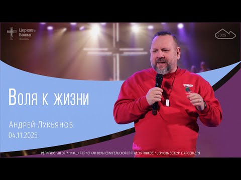 Видео: "Воля к жизни" - Андрей Лукьянов - 04.11.2025