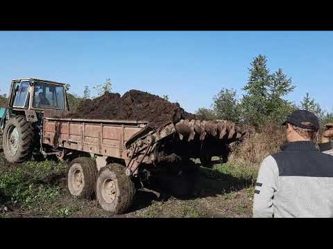 Видео: МТЗ, ЮМЗ и навозоразбрасыватель