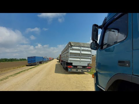 Видео: сколько и как грузить в зерновоз