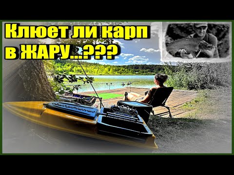 Видео: Клюет ли карп в жару...?? Ночное кораблекрушение и другие приключения карпятников.