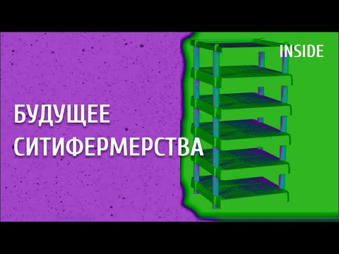 Видео: ПРОЕКТ АВТОНОМНЫХ ФЕРМ / ОБЗОР ПОСЕВНОГО МОДУЛЯ / ПЛАН ПОМЕЩЕНИЯ / #REOGEN / #INSIDE / #AEROPONICS