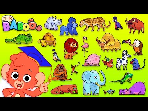 Видео: Животное ABC | Изучают алфавит с Cartoon Animals | Клуб Baboo