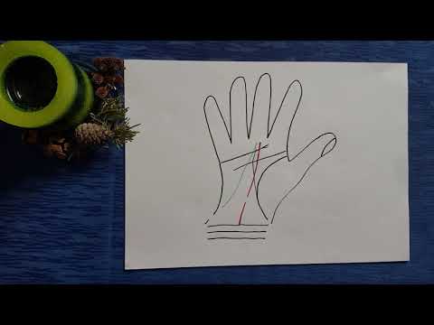 Видео: Линия судьбы! Часть 1. Хиромантия