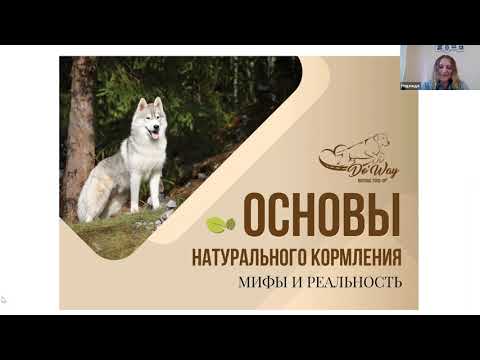 Видео: Семинар: Натуральное питание собак