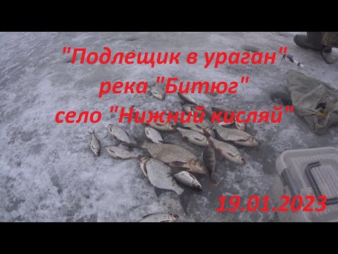 Видео: "Подлещик в ураган", 19.01.2023, река "Битюг", село "Нижний Кисляй".