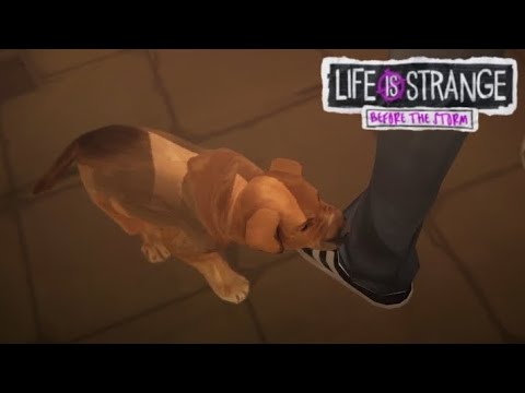 Видео: #8 МИЛАХА ПОМПИДУ 🥰 /Life is strange Before the storm/