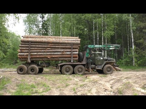 Видео: Сколько кубов стало входить в зауженные коники Урал лесовоз