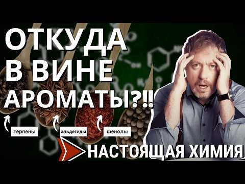Видео: [ХИМИЯ АРОМАТОВ] вина - откуда там нотки цветов и кожи?