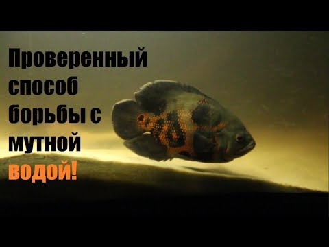 Видео: Это вам точно поможет! Ответы на многочисленные вопросы в одном видео!