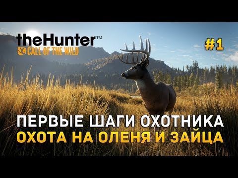 Видео: theHunter: Call of the Wild #1 - Первые шаги охотника. Охота на оленя и зайца (Первый Взгляд)