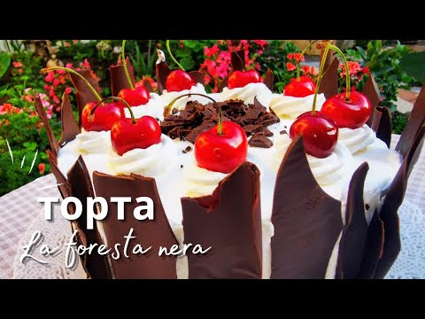 Видео: Торта 🍒 Шварцвалд  шоколадов Пандишпан Сметана и Череши.