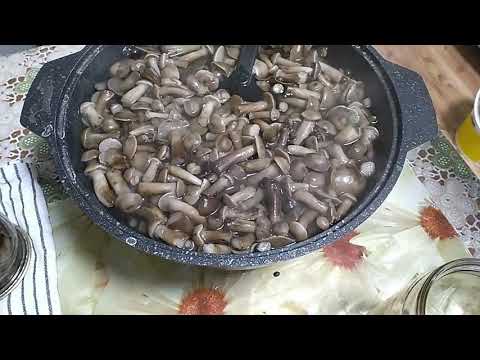 Видео: Маринованные опята, простой и  вкусный маринад.
