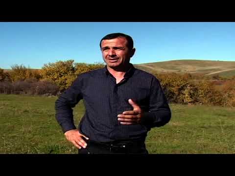 Видео: Долно Српци- село во подмогилска подрегија