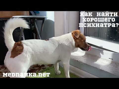 Видео: Как найти хорошего психиатра?