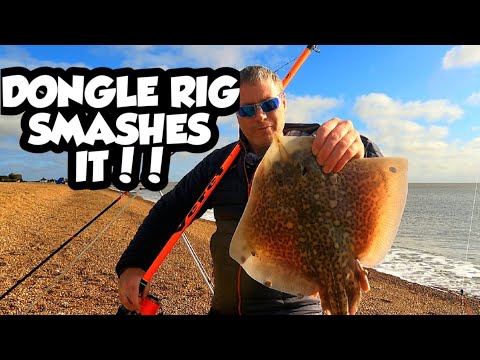 Видео: 🎣 Рыбалка с Dongle Rig | Успех на галечном пляже Саффолк!