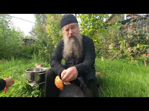 Видео: Забота приближающая кончину мира
