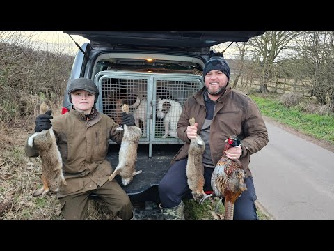 Видео: #катапульта #охота и #хорьки с собаками