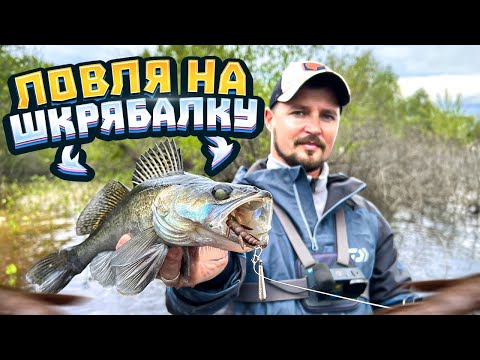 Видео: ПРОВОДКА на ОКУНЯ і СУДАКА з дна: особливості, підхід, можливості