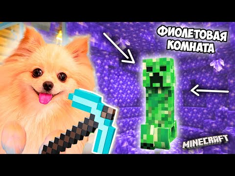 Видео: ФИОЛЕТОВАЯ КОМНАТА В МАЙНКРАФТ ! ПЕРВЫЙ АЛМАЗ БЫЛ ПОТЕРЯН ! MINECRAFT