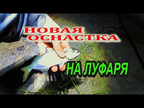 Видео: Ловля луфаря на НОВУЮ оснастку. Рыбалка на Черном Море