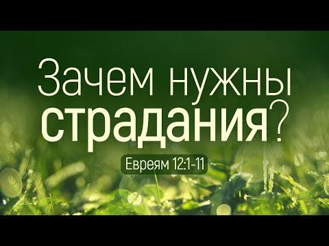 Видео: Зачем нужны страдания? (Виталий Рожко)