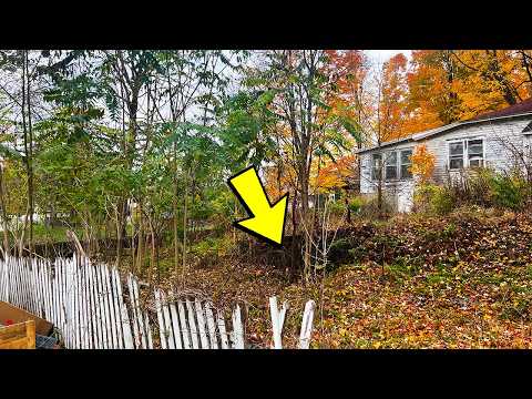 Видео: Он заплатил 10 компаниям. Ни одна не вернулась. То, что мы обнаружили, лишило нас дара речи.