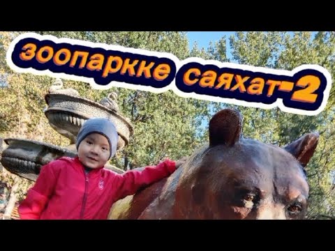 Видео: #ЗООПАРККЕ САЯХАТ-2